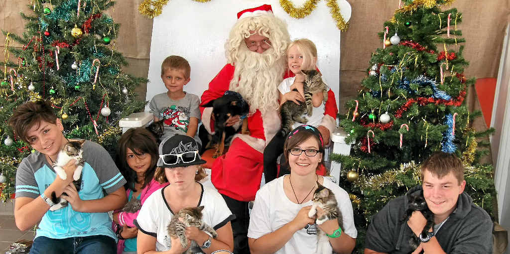 SANTA PAWS: There were plenty of smiles and fury animals waiting for their chance to have a photo with Santa at the Warwick Animal Welfare Santa Paws fundraiser. SANTA PAWS: There were plenty of smiles and fury animals waiting for their chance to have a photo with Santa at the Warwick Animal Welfare Santa Paws fundraiser.